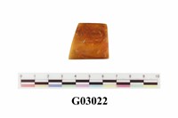 藏品(琥珀)的圖片